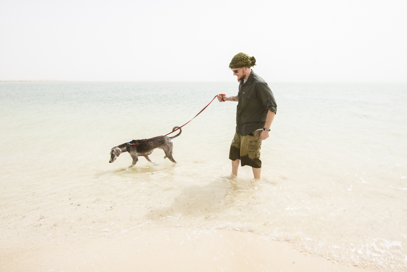 Borooq, Qatar man walking dog ocean desert