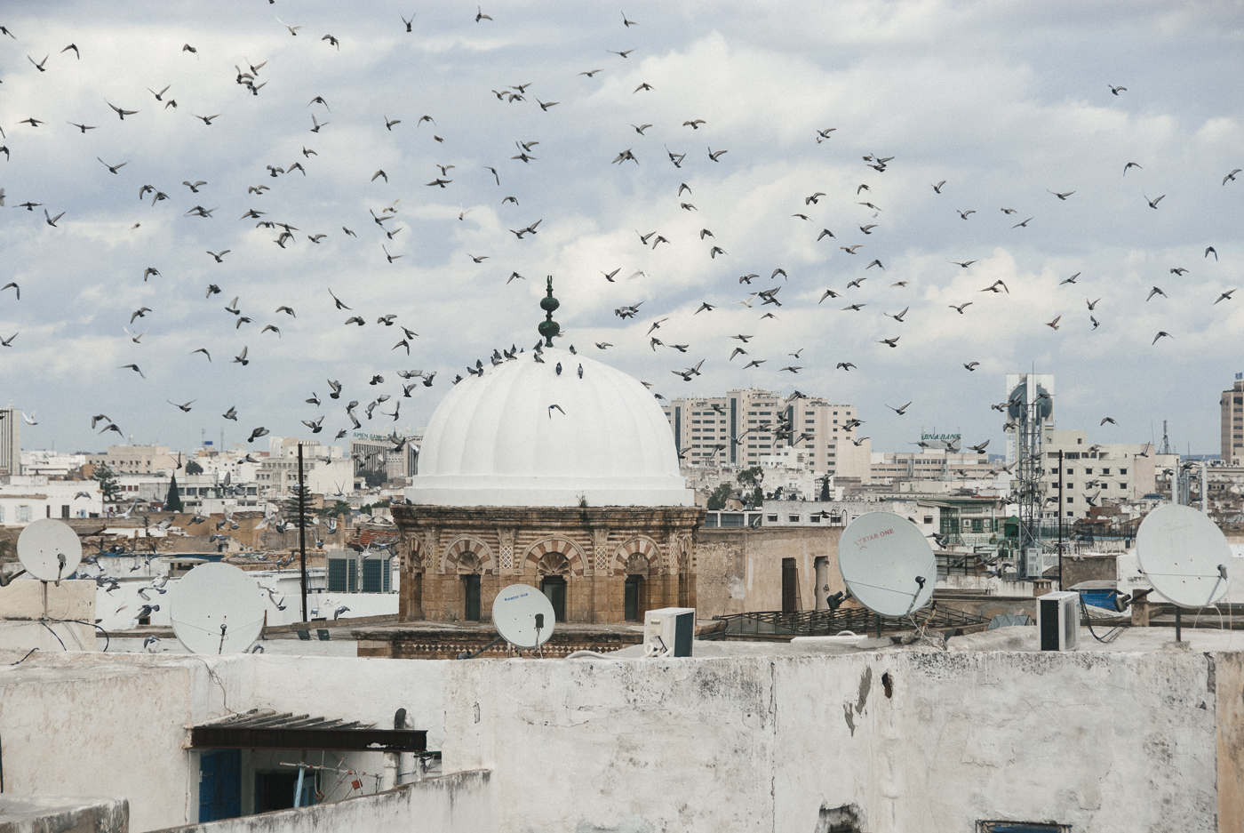 Tunis, Tunisia birds over cityscape